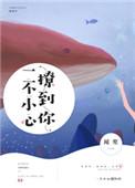 一不小心撩到你完整版