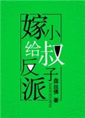 嫁给反派小叔子百度