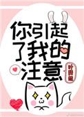 你引起了我的注意晋江