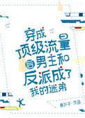 穿成顶级流量后男主和反派穿成了我的迷弟txt