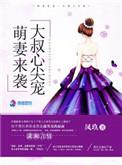 陆先生的闪婚甜妻全文阅读