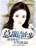总裁狂宠妻txt