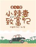 重生80小辣妻的致富经