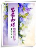 宝妻经典