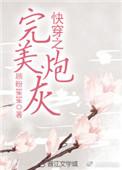 快穿之完美炮灰百度