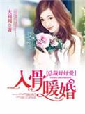 入骨暖婚电视剧