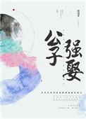 公子强娶的沈甫亭为什么喜欢锦瑟