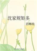 沈家是什么门