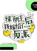 嫁给男主的反派弟弟