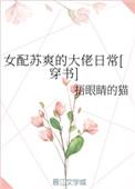 女配苏爽文