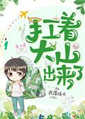 扛着大山出来了格格党