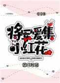 将军爱集小红花百度资源