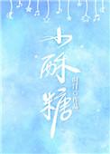 小酥糖时汀百度