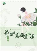 快穿之极品的美满生活风华居