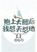 抱上大腿后我作天作地 作者颜江灯塔