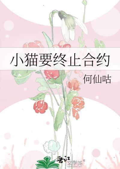 终止合约是什么意思
