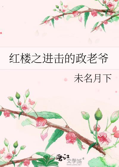 红楼政二老爷的跑偏之