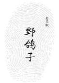 野鸽子剧情介绍