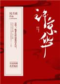 京华郡主作者烟花微微笑