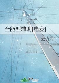 全能辅助什么意思