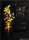 为妃三十年类似