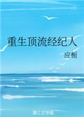 重生娱乐圈经纪人