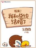 我和总统结婚了免费读全文