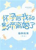 怀孕后我和影帝离婚了讲什么