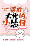 穿成大佬的小怂包格格党