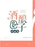 酒酿圆子好甜呀txt