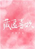 书名藏匿喜欢