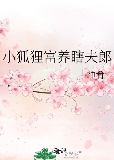 小狐狸爷