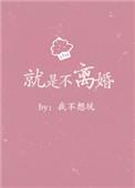 不离婚的人