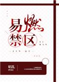 易燃禁区类似