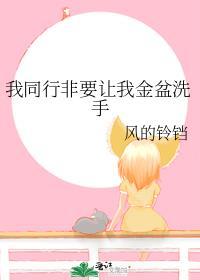 我同行非要让我金盆洗手晋江