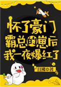 怀了豪门霸总的崽后我一夜爆红了txt书包网