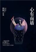 心有南墙txt