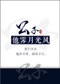 公子他霁月光风作者雾十
