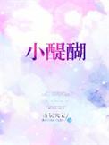 小醍醐在线阅读