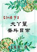 红楼梦大丫鬟的奋斗日常