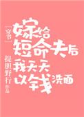 嫁给断袖(重生)