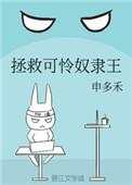 、拯救可怜奴隶王
