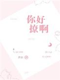 你好撩啊全文免费