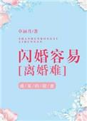 闪婚容易离婚难完整版