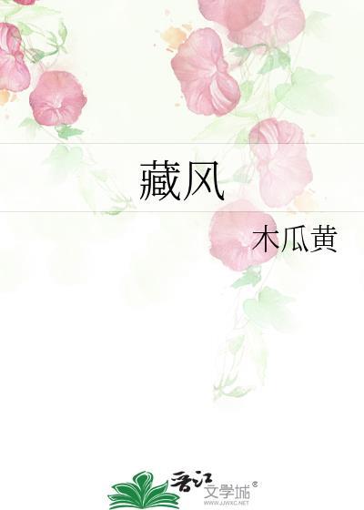 藏风谁是攻