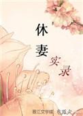 休妻实录免费阅读无弹窗