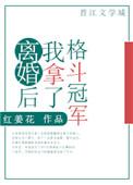 离婚后我成了拳击冠军