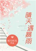 晴天遇暴雨完整版txt
