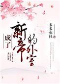 成了新帝的外室 作 多多亦杉