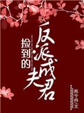捡到的反派成夫君番外